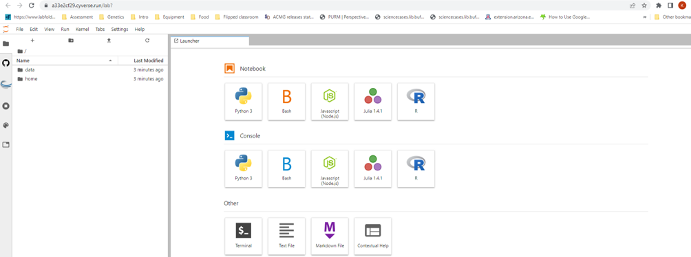 Image of JupyterLab Entry page