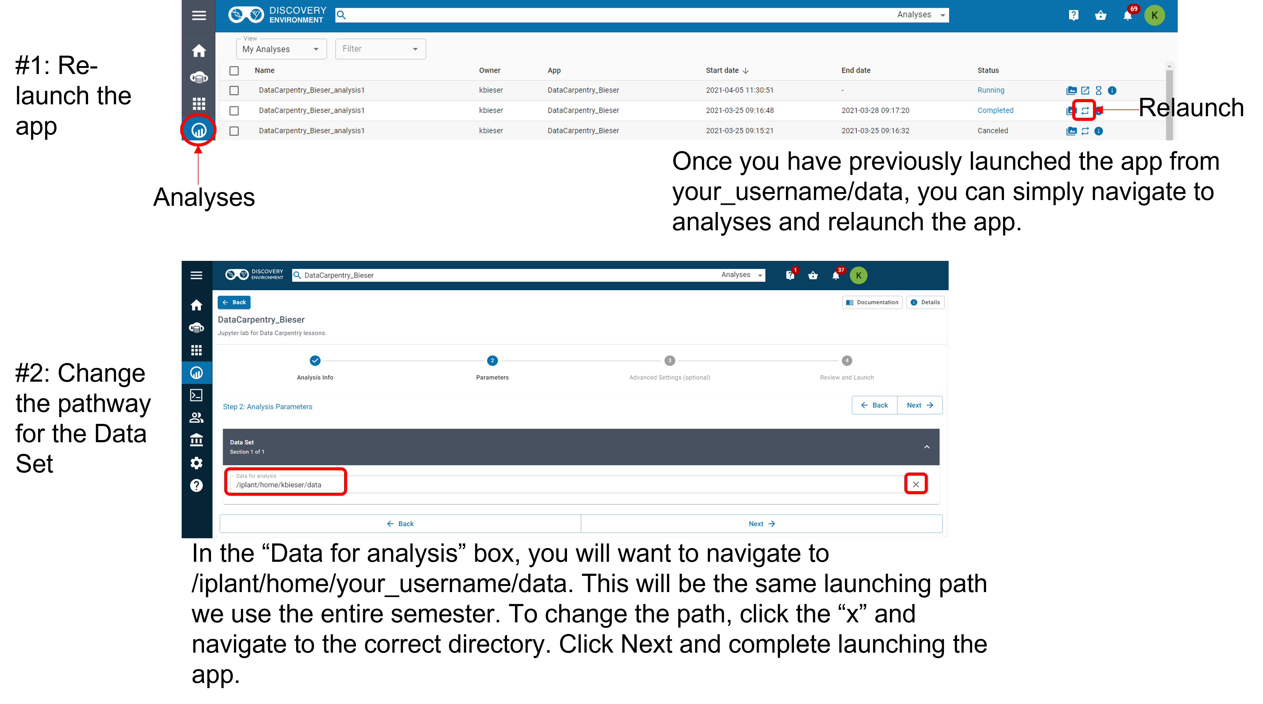 Image of Re-launching Analysis