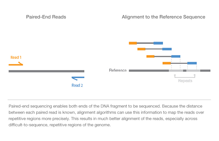 Image of Paired-end Reads