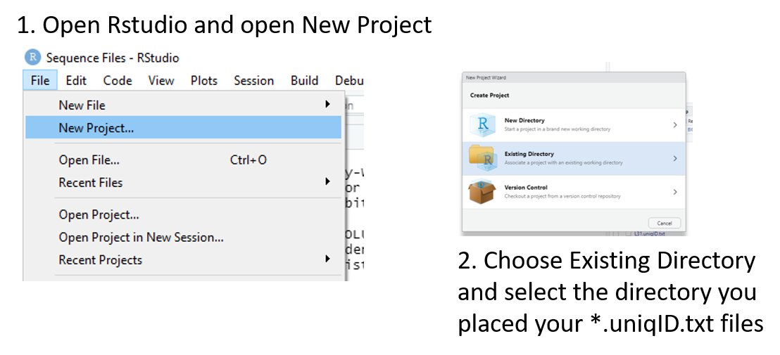 Figure 3: Steps to launch new project in R studio