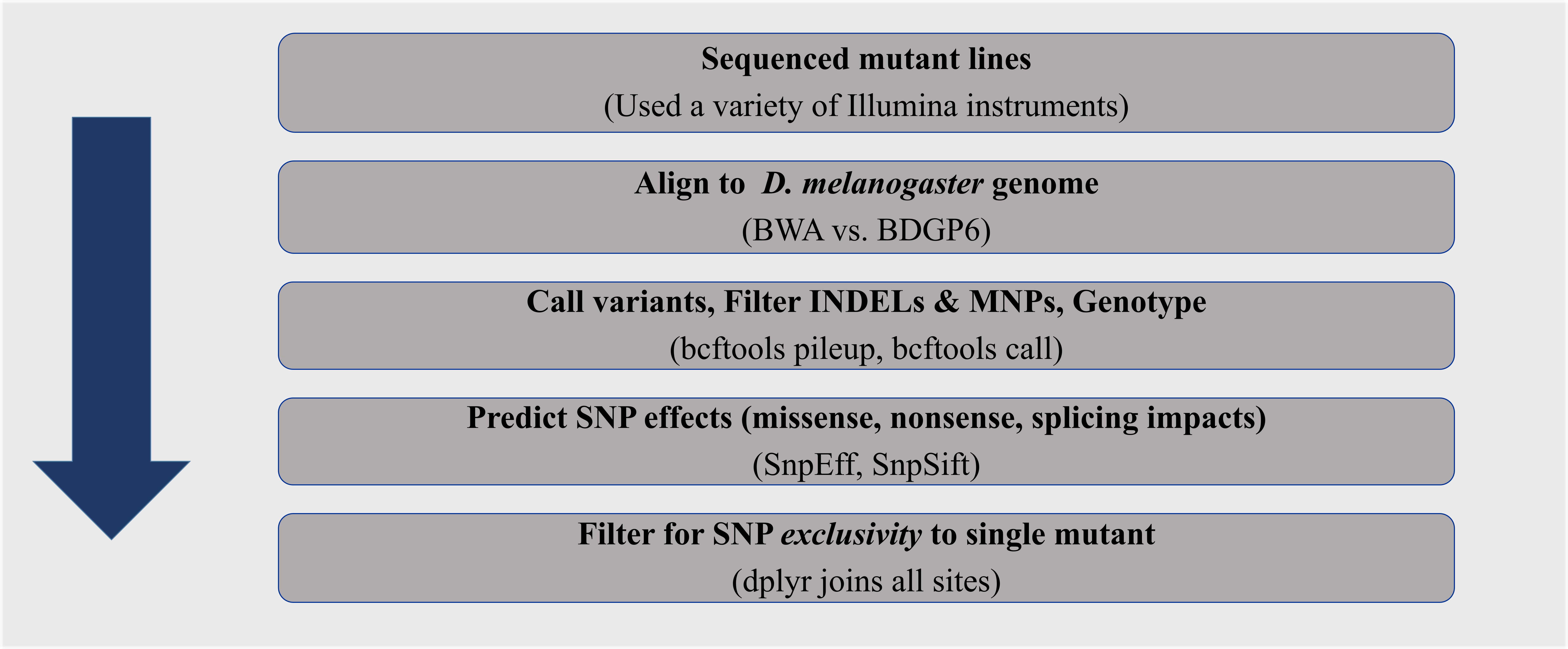WGS_pipeline
