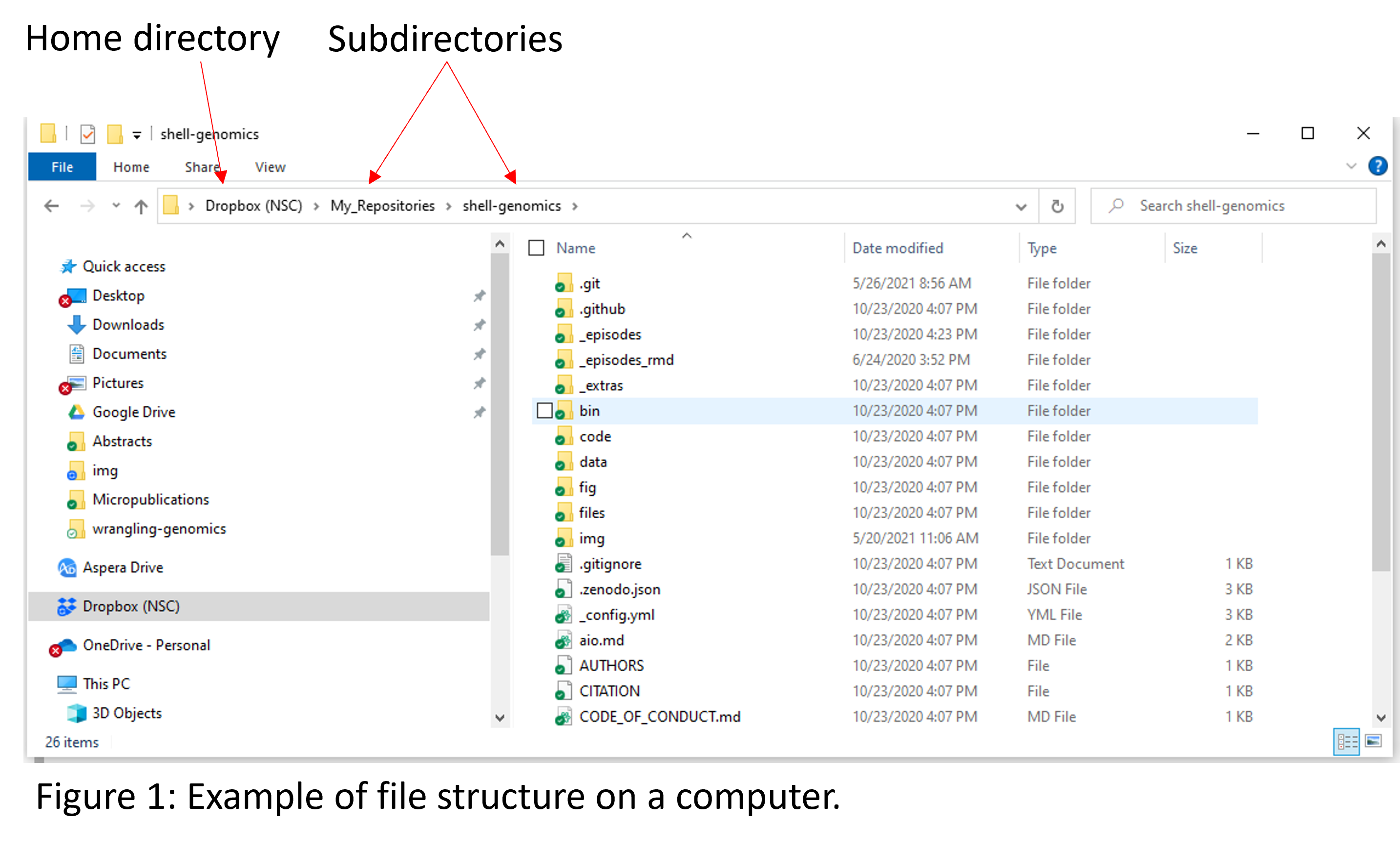 Image of file directories