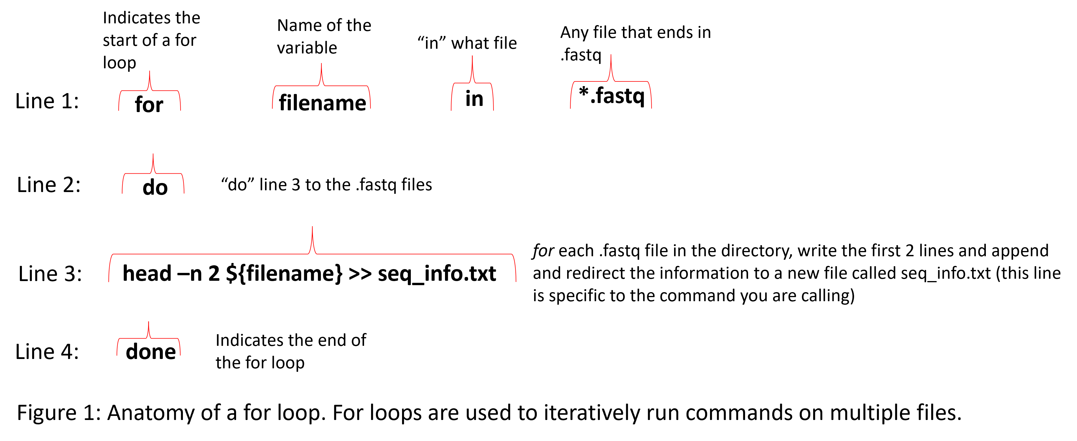 for_loop_breakdown