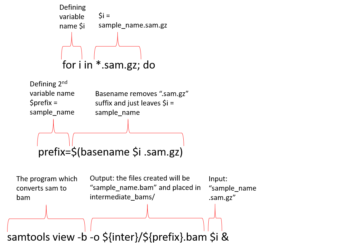for_loop